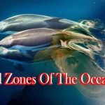 All Zones Of The Ocean
